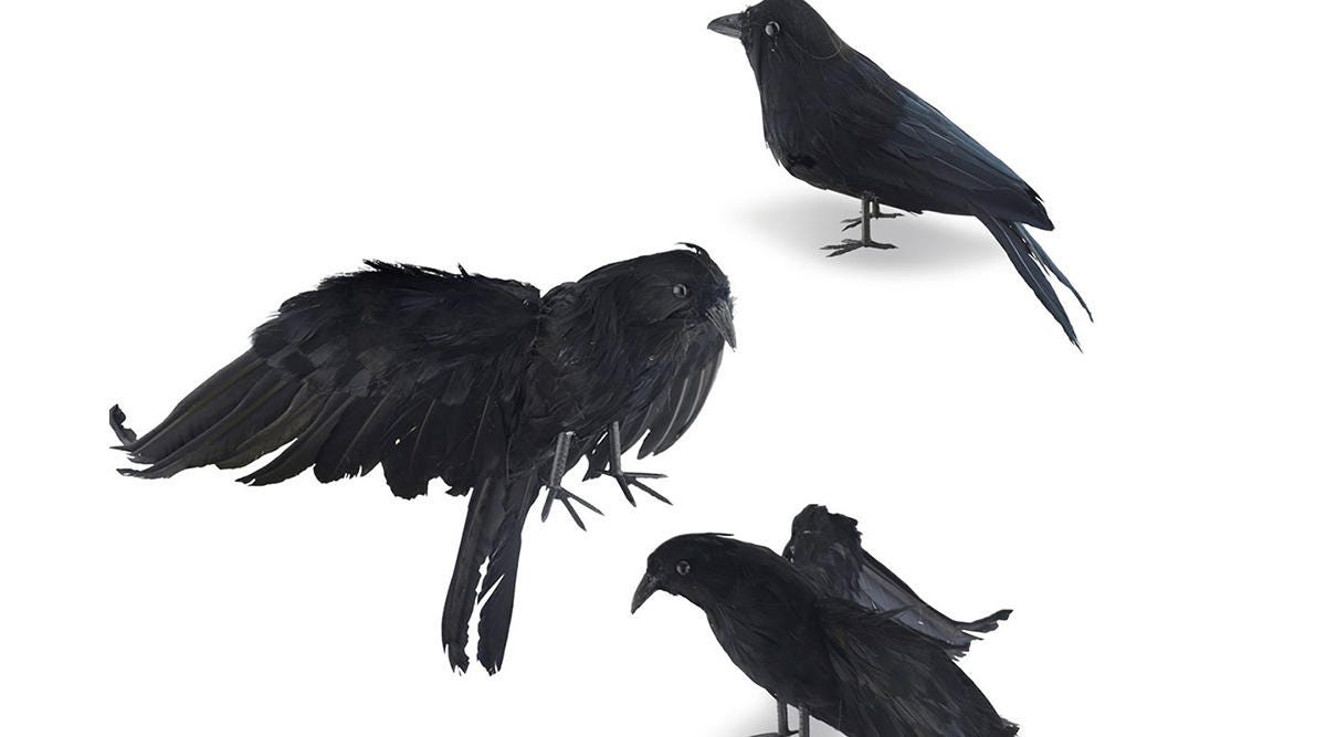 creepy-crows