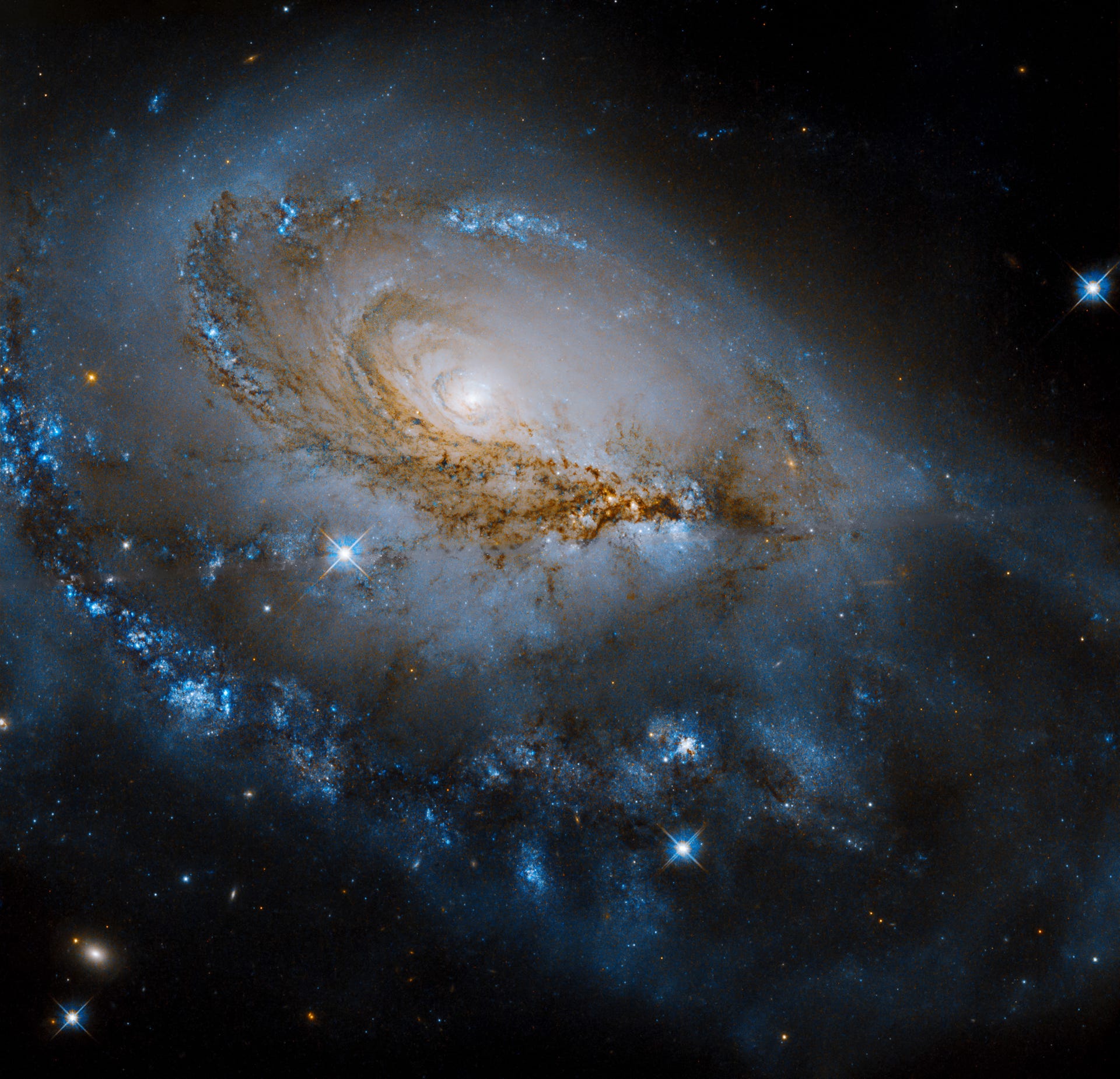 A glowing spiral galaxy seen as a slight angle with swirling blues and browns against black space.