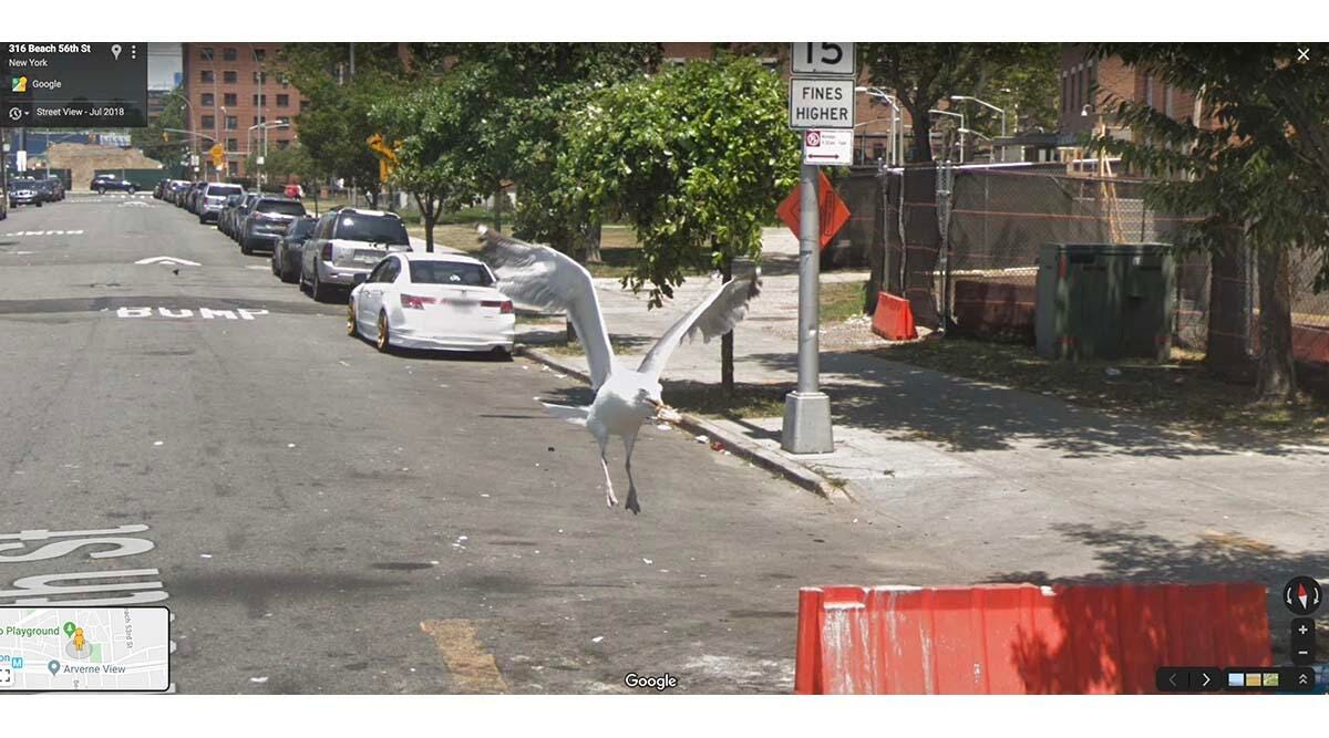 Crazy images caught on Google Street View - CNET