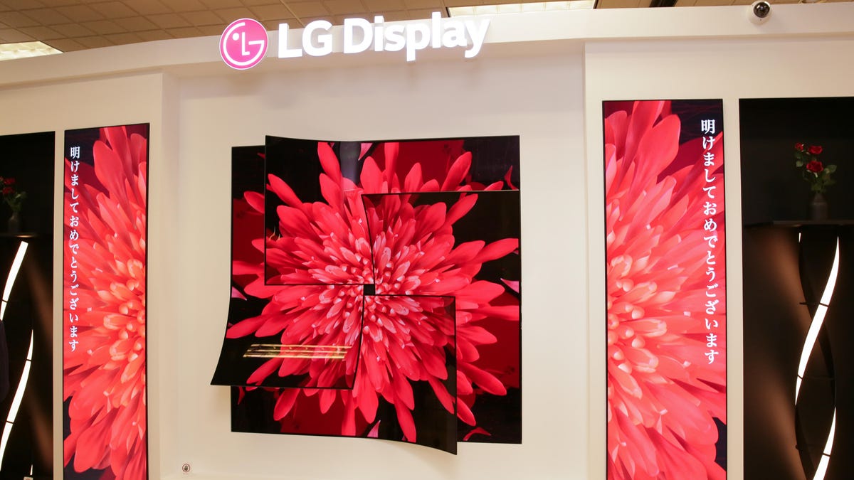 LG Display The Rose