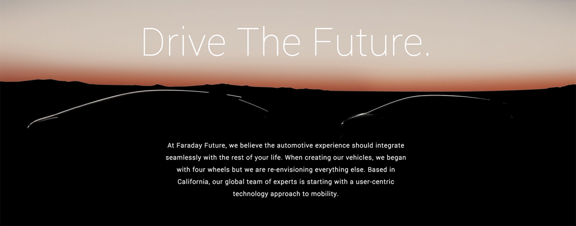 Faraday Future's Website