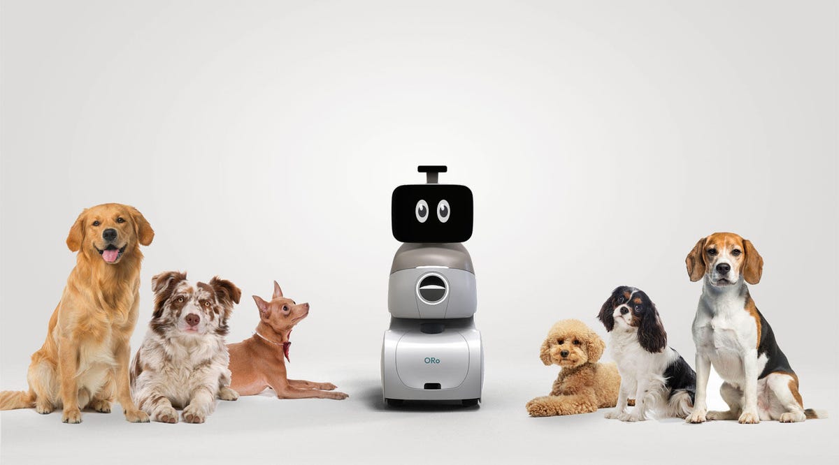 Robot anjing Oro dikelilingi oleh anjing