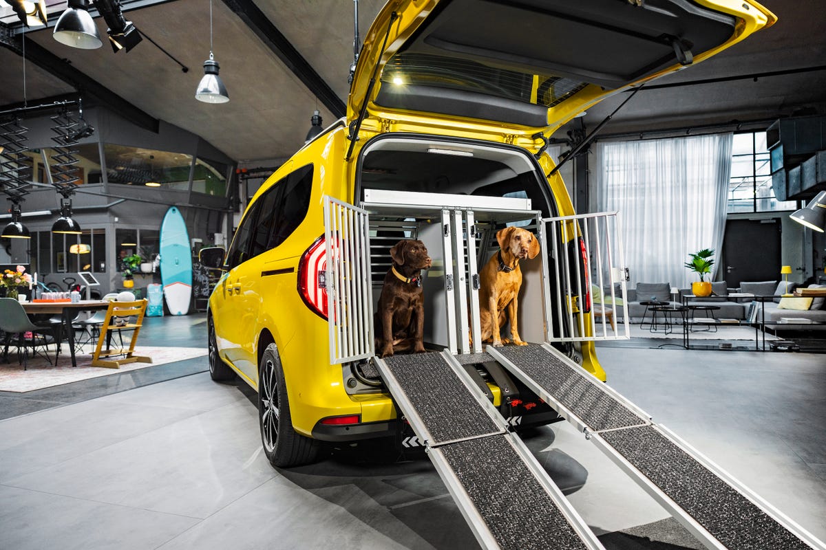 yellow van with dog and ramps