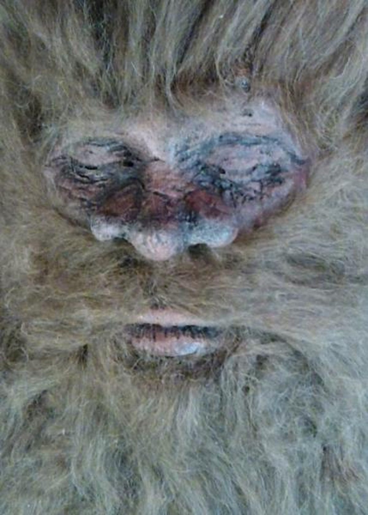 According to hunter Rick Dyer, this deceased Bigfoot is eight feet tall and a over 700 pounds.