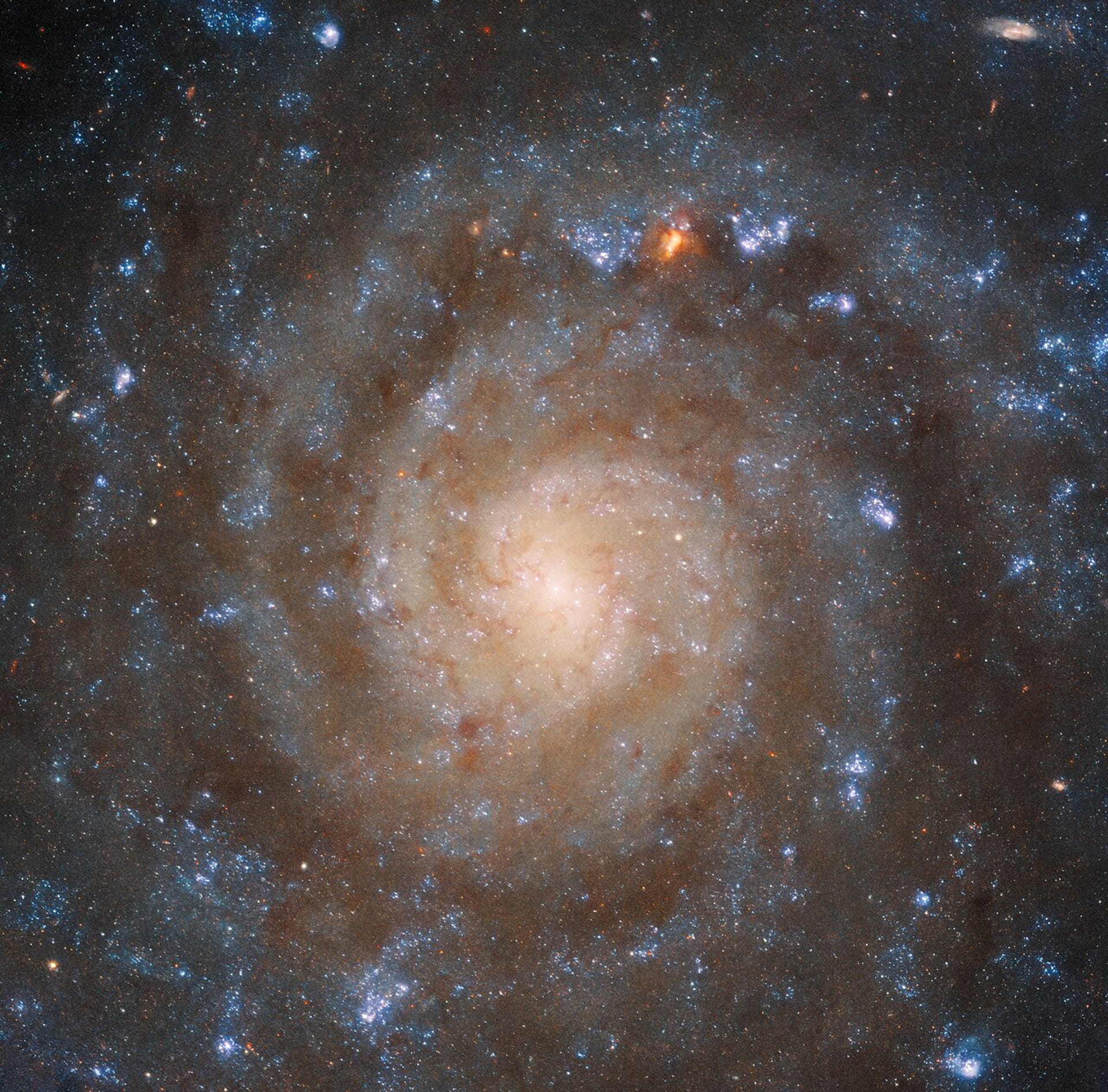 Hubble's view of spiral galaxy IC 5332 looks softer and more diffuse than Webb's. Lots of small glowing stars.