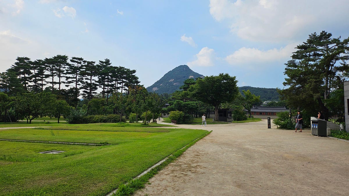A photo taken on Galaxy Z Flip 5 on the Gyeongbokgung Palace grounds.