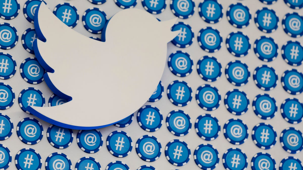 White Twitter bird logo in front of hashtags