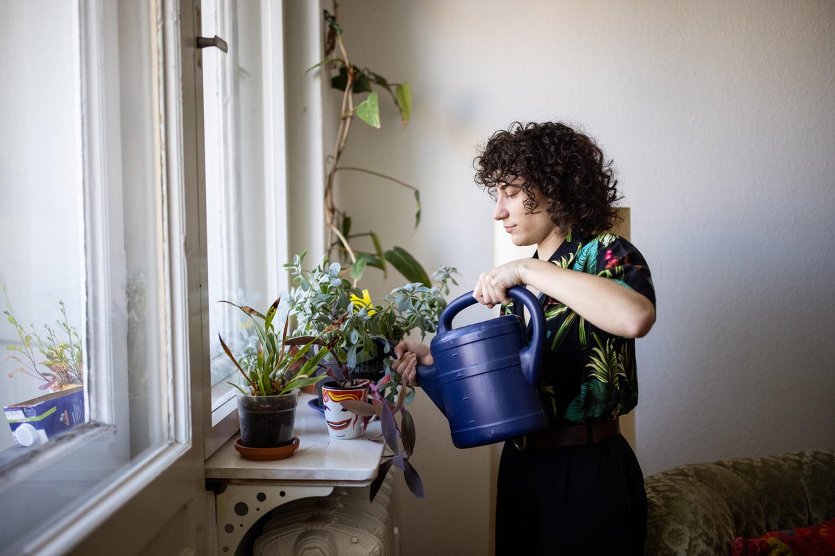 Non-binary person waters houseplants with blue watering can.