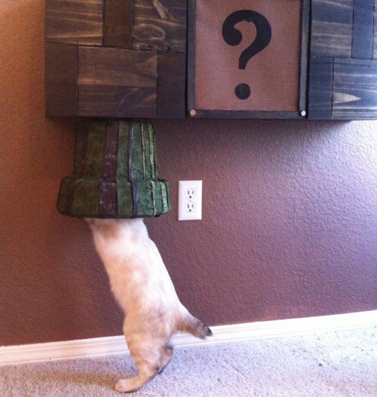 Cat explores Mario playhouse