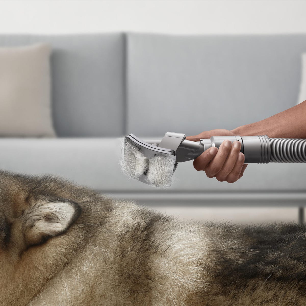 The pet-grooming kit attachment for Dyson vacuums