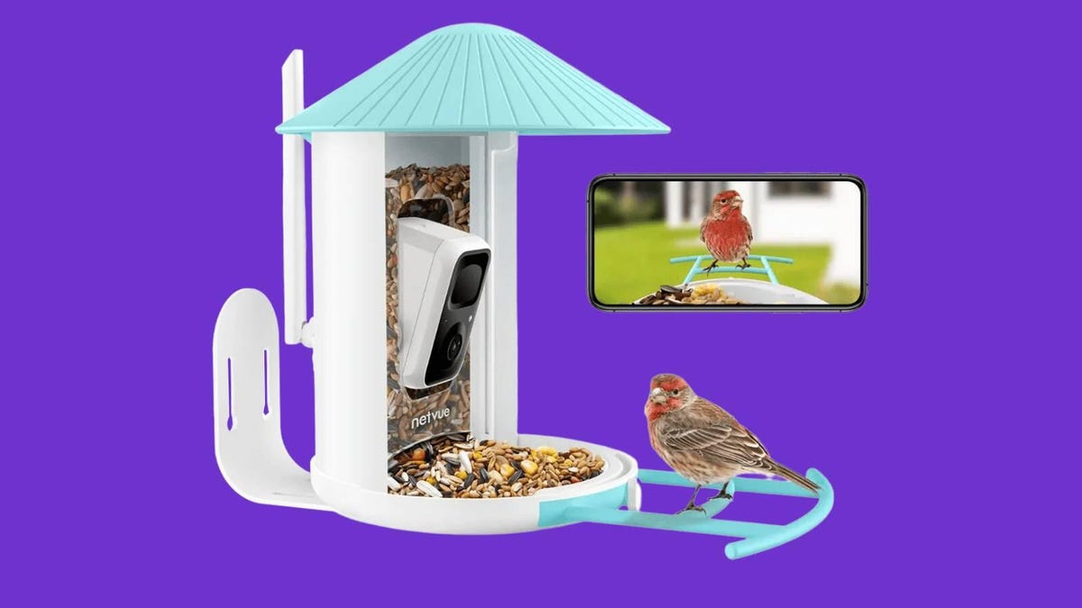 birdfy-bird-feeder on a purple background