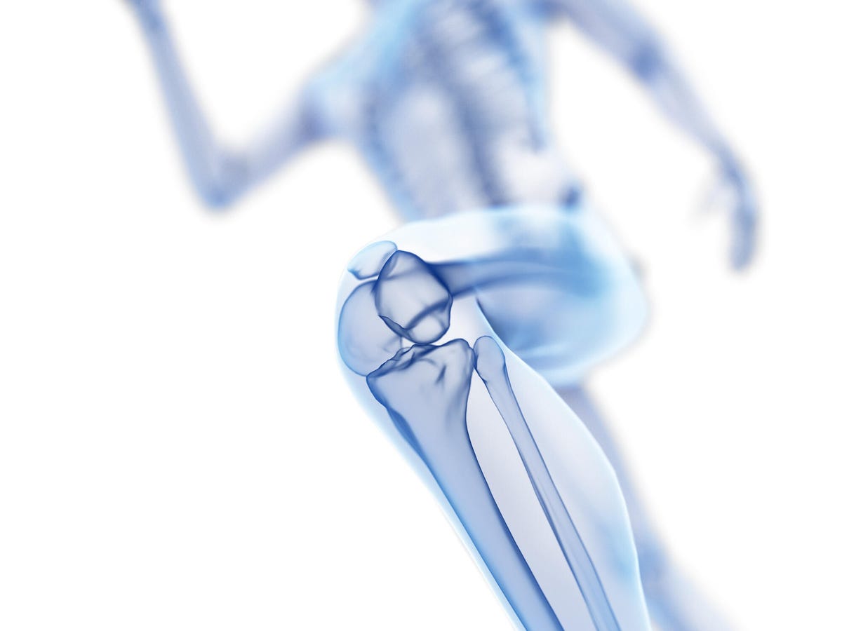 A scientific illustration of the knee joint while running