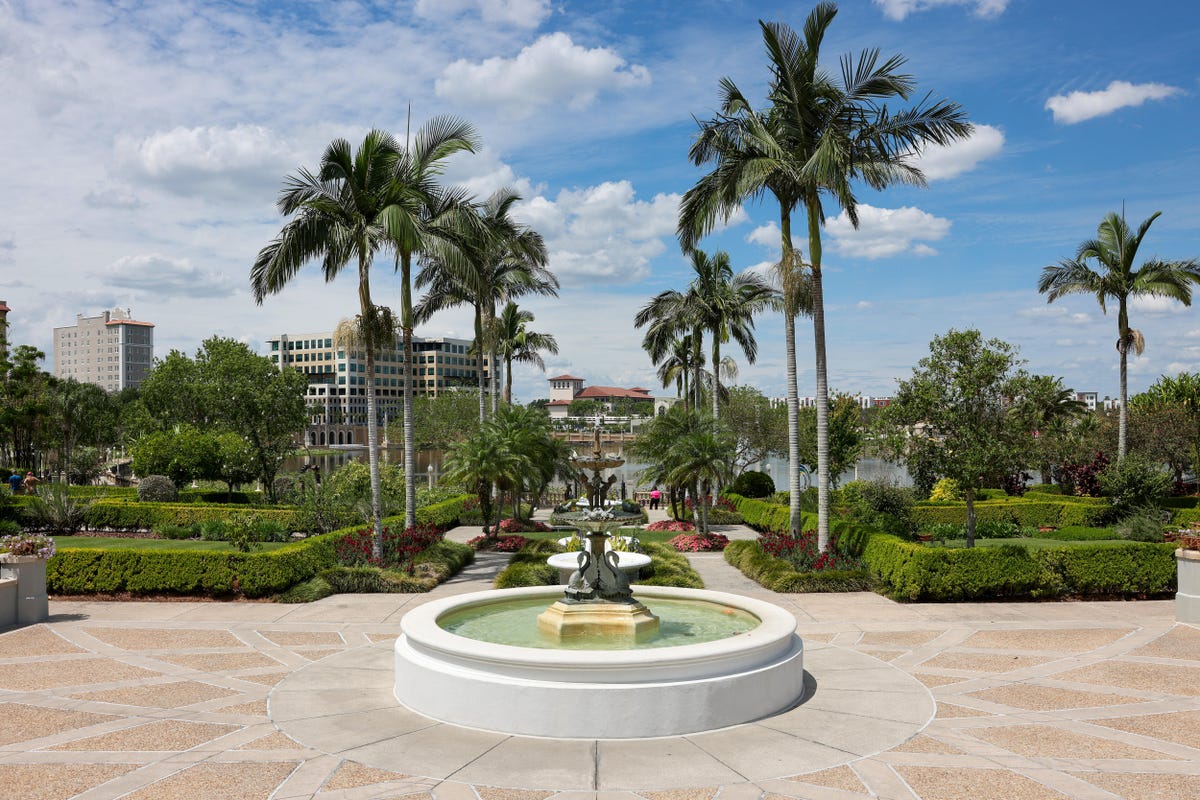 The scenery at Hollis Garden, a public botanical garden in Lakeland, Florida.