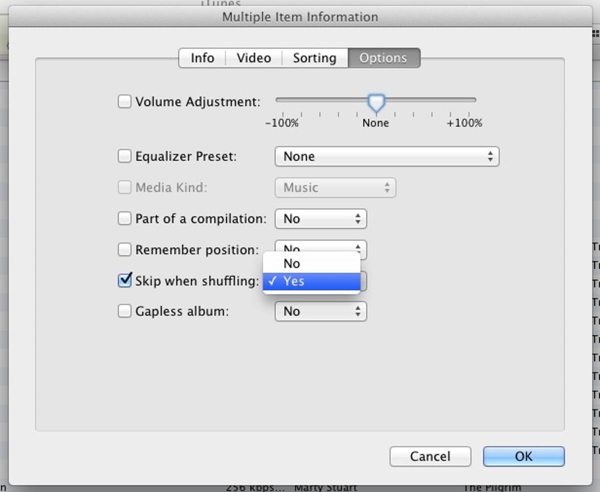 iTunes Options dialog box