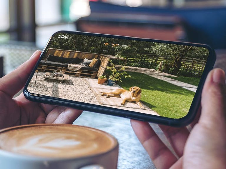 Someone holds a smartphone over a cup of coffee and views backyard footage with the Blink app.