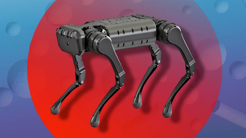 Watch this robotic dog backflip