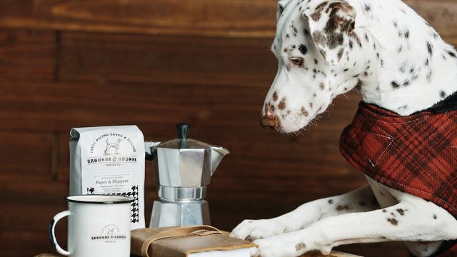 grounds-and-hounds-coffee-subscription
