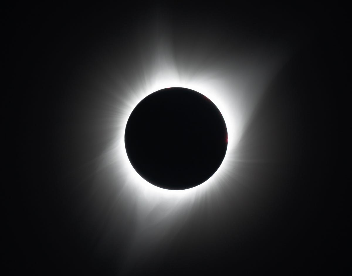 shankeclipse-corona