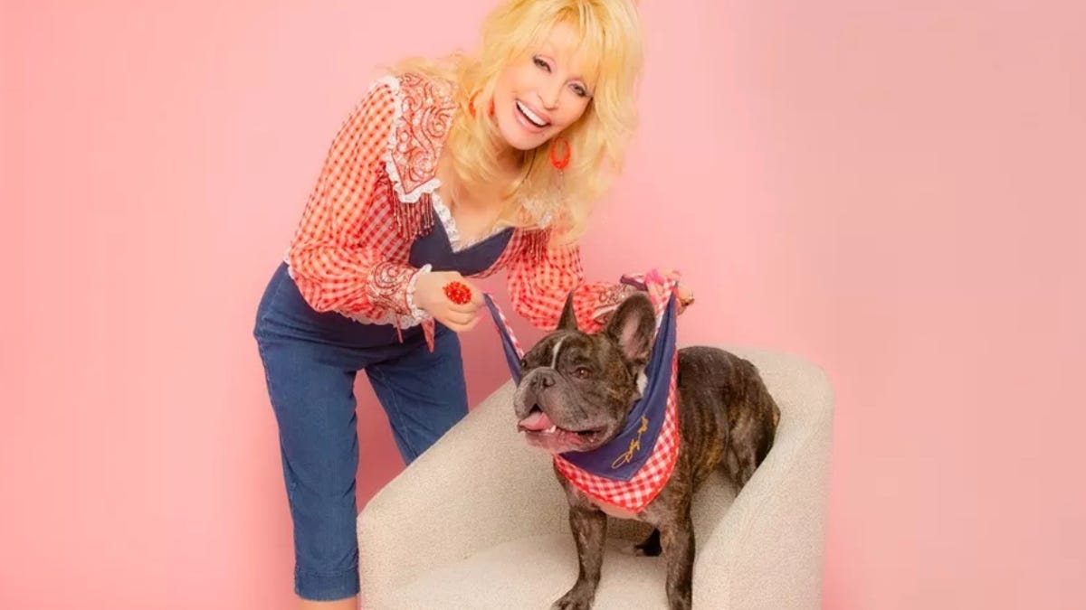 Dolly Parton and her French bulldog, who&apos;s wearing a gingham collar