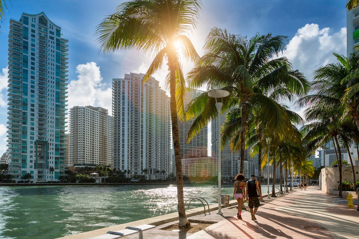 view of Miami with highrises and palm trees along a waterway