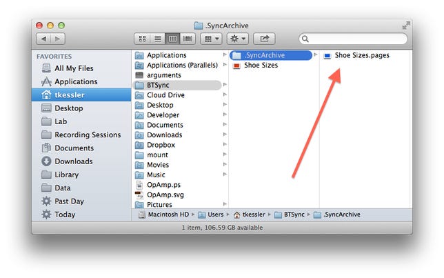 BitTorrent SyncArchive folder in OS X