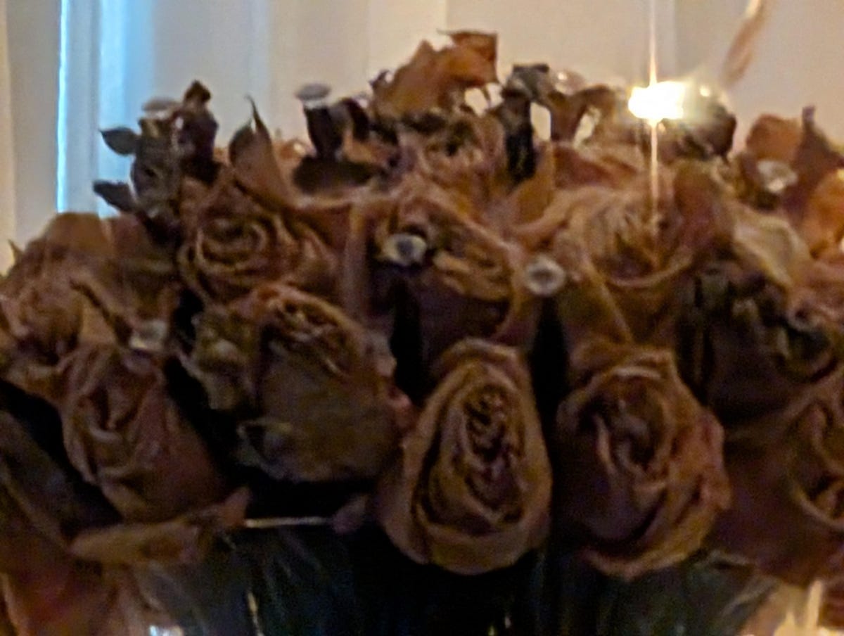 A photo of a bouquet of preserved flowers taken at a 30x zoom on the Pixel 8 Pro in dim lighting.