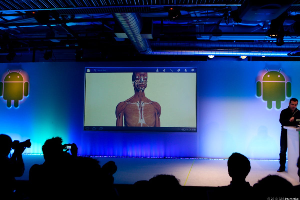 Google Body demo