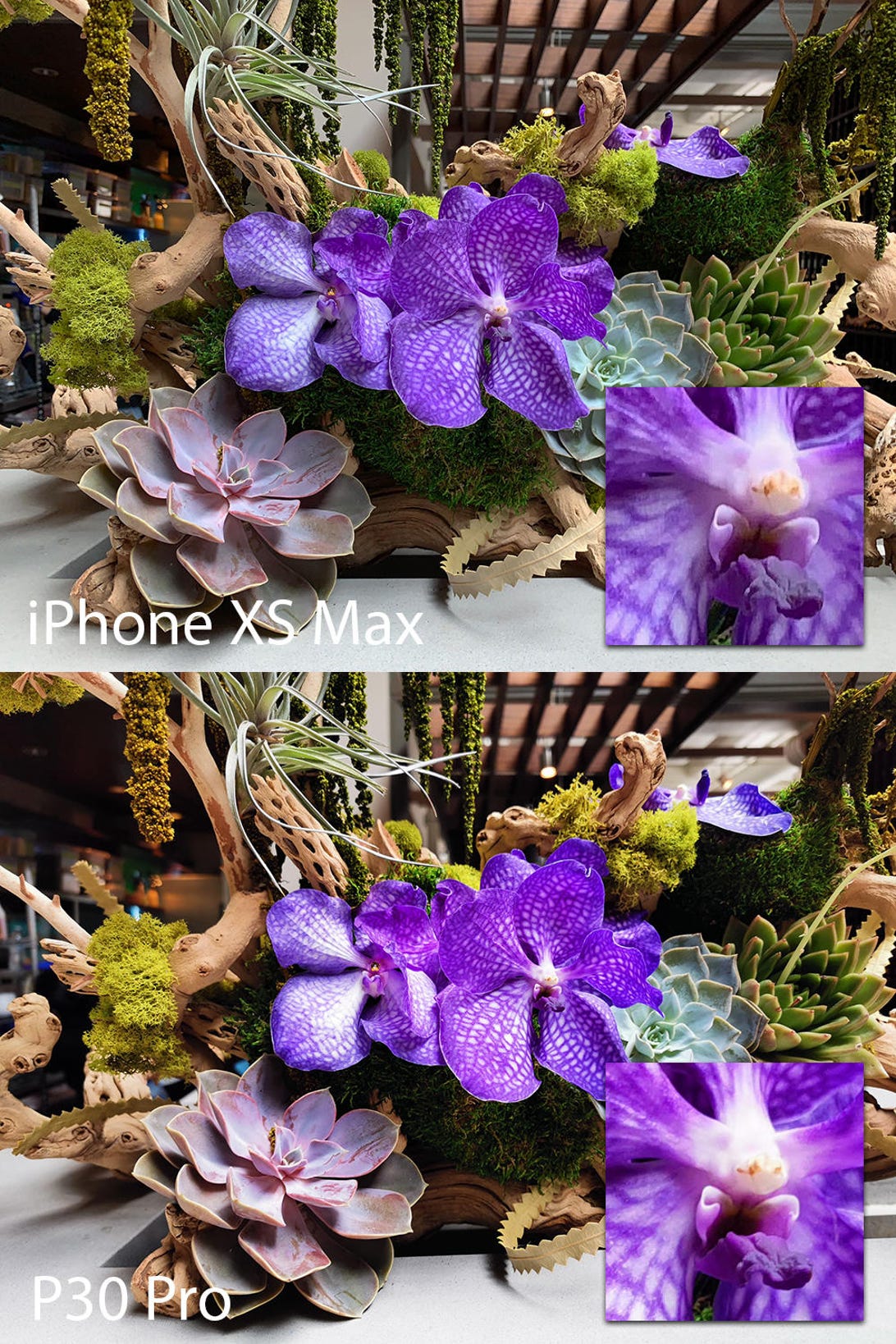 iPhone XS Max vs. Huawei P30 Pro: Which camera is best?
