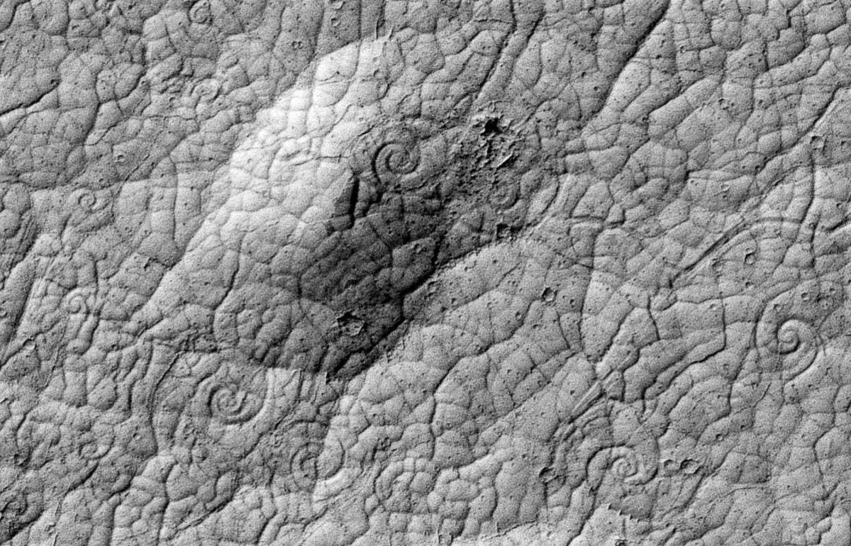 Martian surface seen by satellite looks like elephant skin.