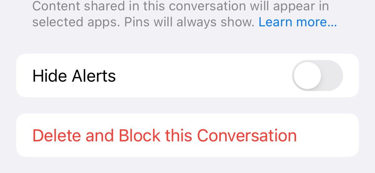 Delete and Block this Conversation option