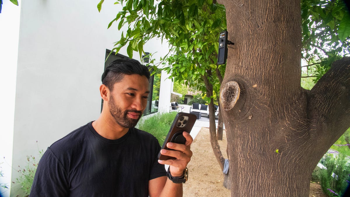 a gentleman in a black shirt on his iPhone stands before a tree that has a TreeTag placed on its trunk