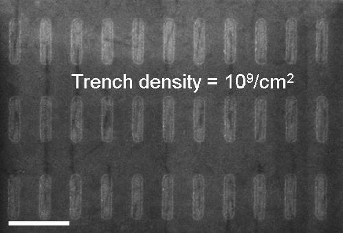 The dark lines are carbon nanotubes that sometimes -- but not always -- are placed in trenches. The more accurately IBM can place the nanotubes, the more likely they can be used as semiconductor devices in computer chips.