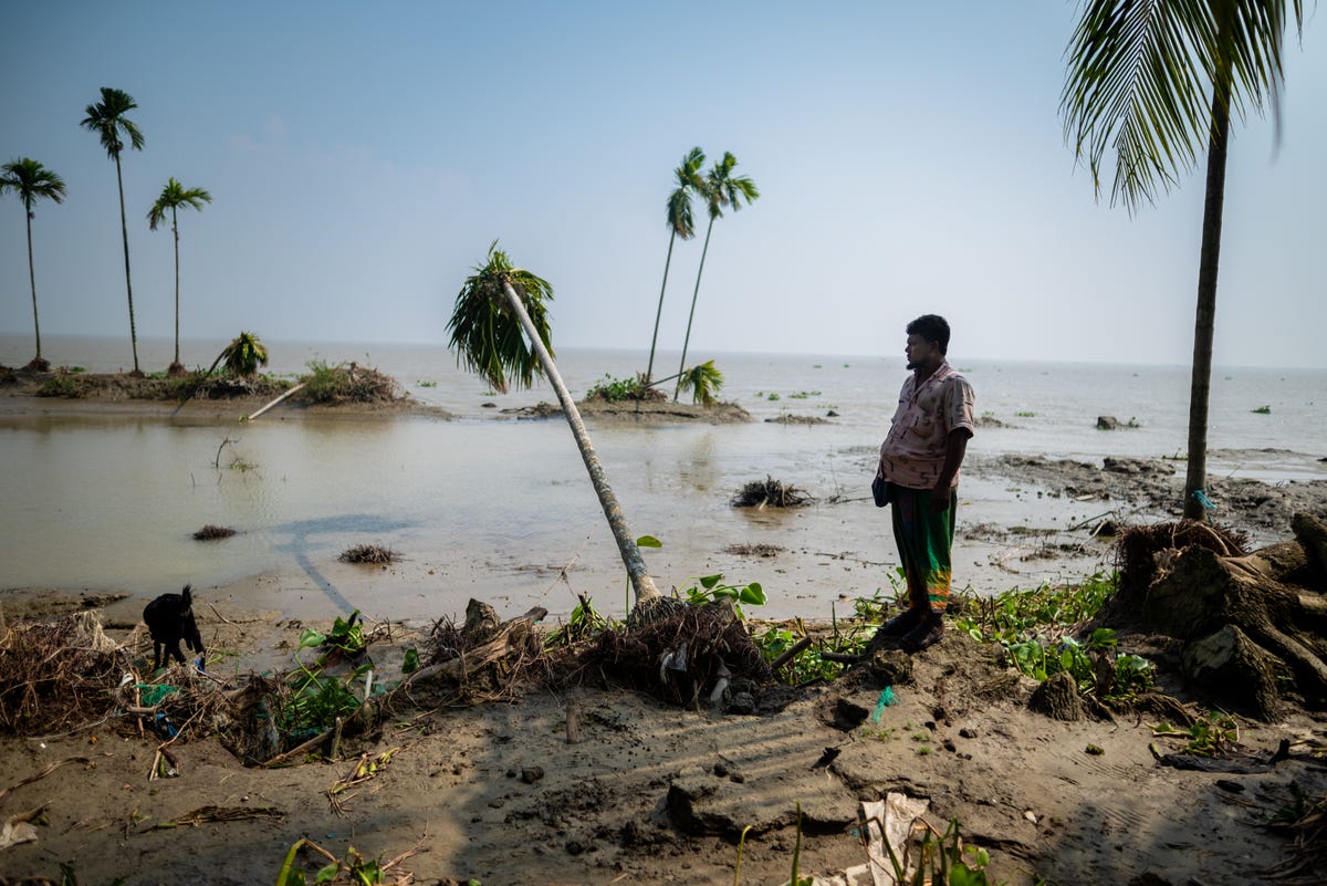A flooded, ravaged field is seen with trees fallen over. A man looks at the consequences of a cyclone that just hit the village.