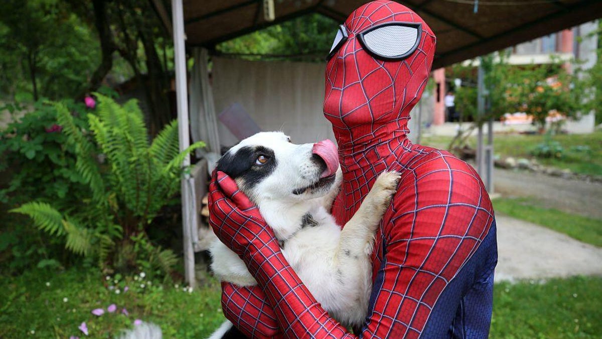 A Spider-Man impersonator hugs a friendly dog