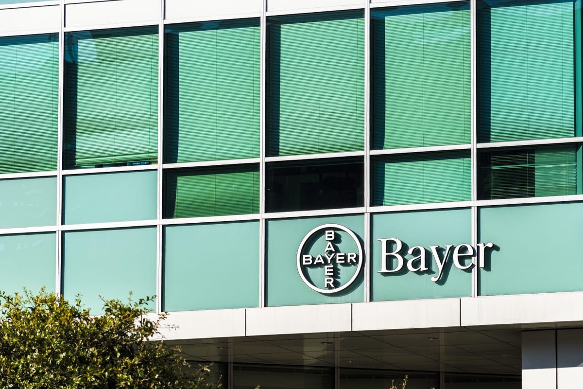 Bayer's San Francisco offices