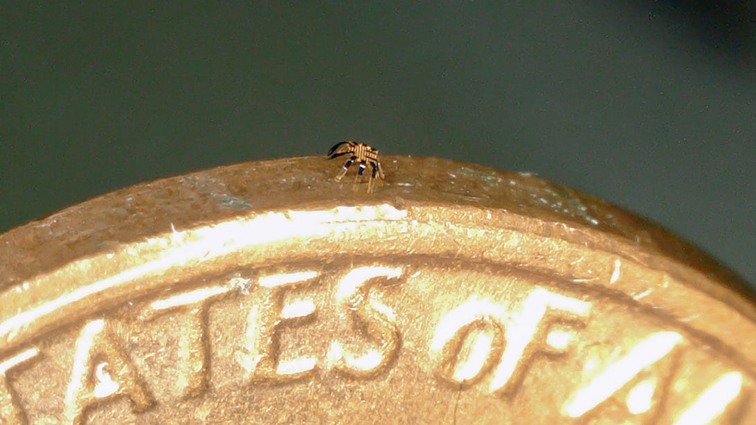 Tiny walking robot on the edge of a penny