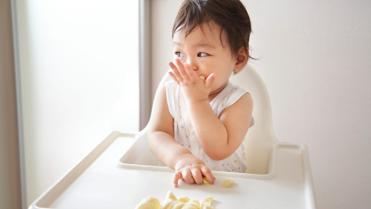 A baby eating banana in a high chair