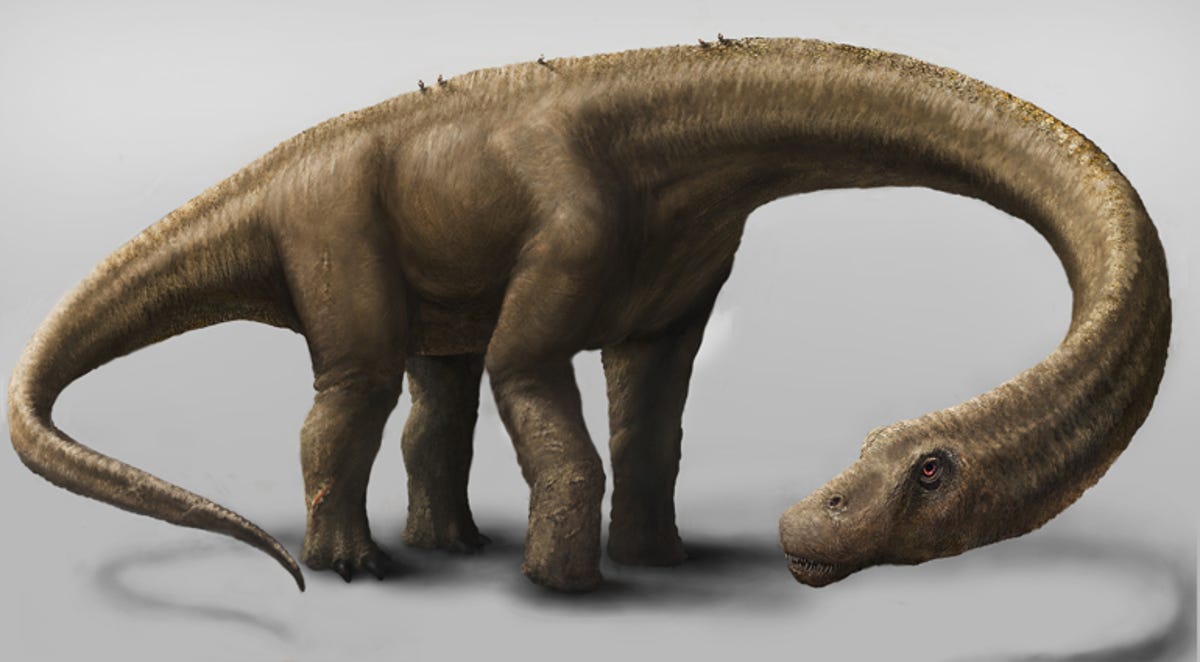 dreadnoughtus1.jpg