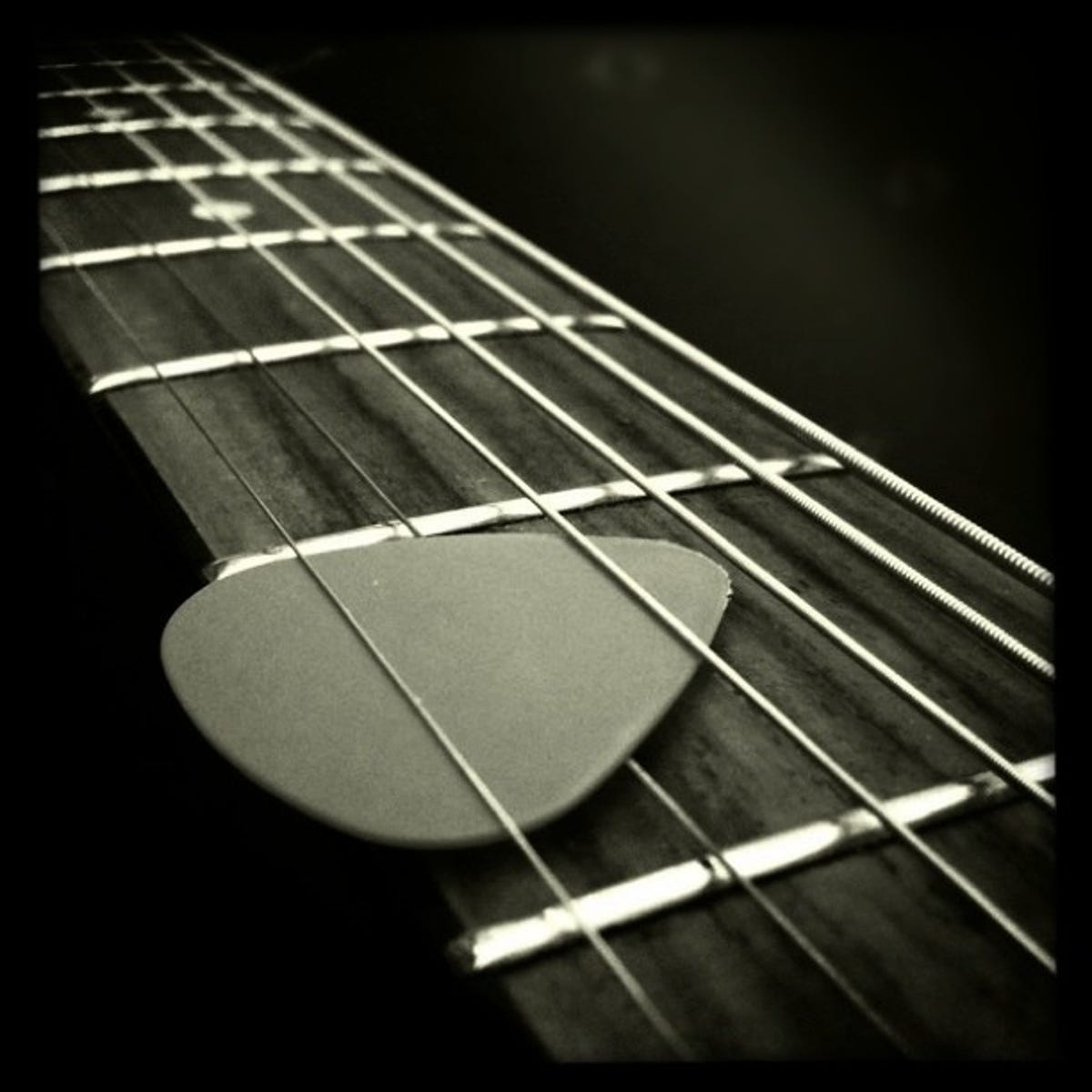 Guitar.jpg