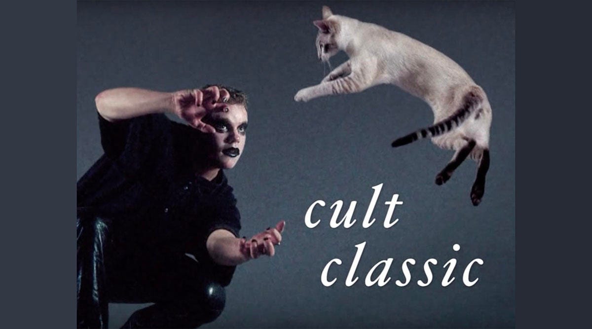 cnet-reviews-dancing-with-cats