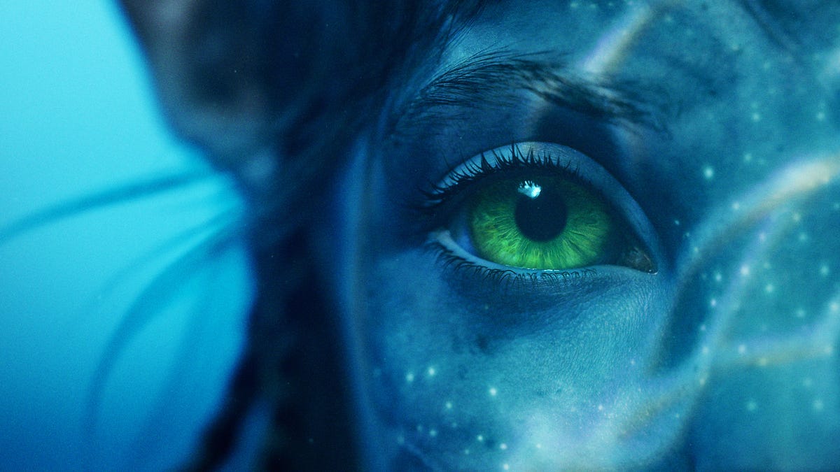 The soulful eyes of a blue alien in Avatar 2
