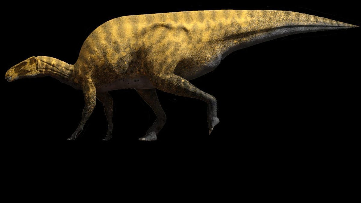 iguanodon-like dinosaur