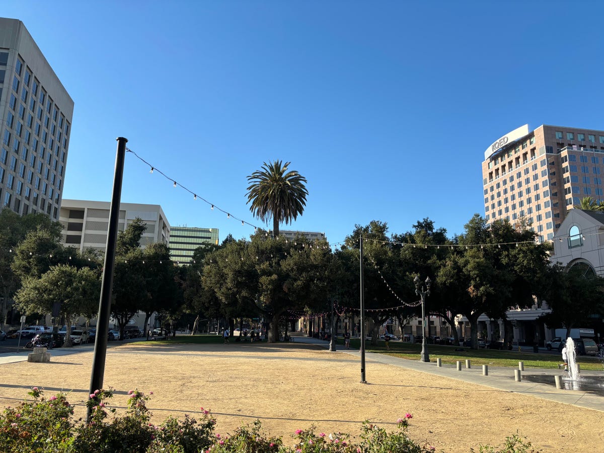 A photo of a park in San Jose taken on the iPhone 15