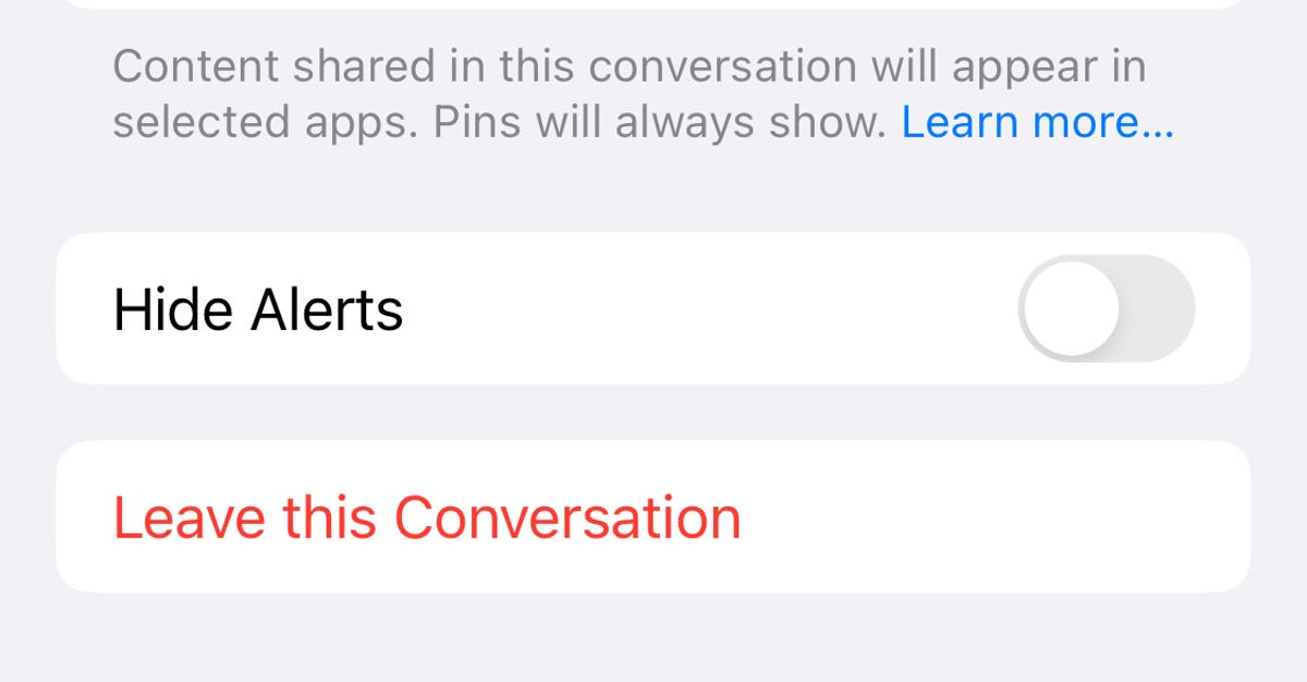 iMessage Leave this Conversation option