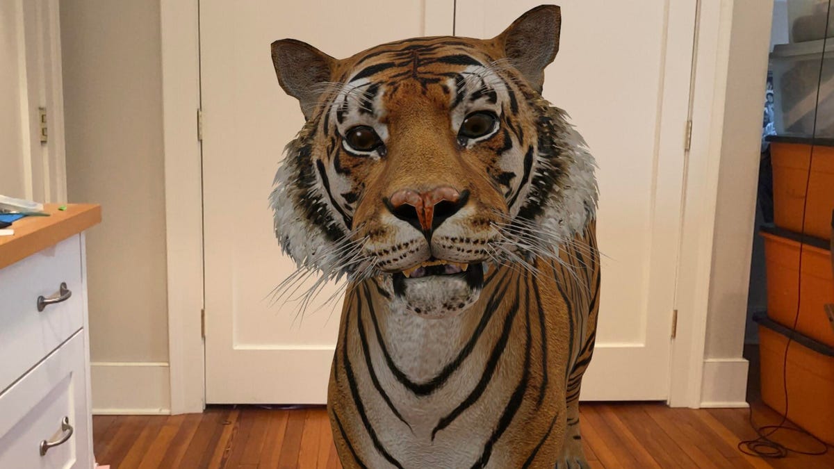 Google 3D animals: How to conjure AR animals with Google search and more -  CNET