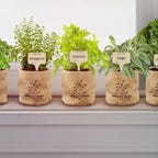 herb bags on window