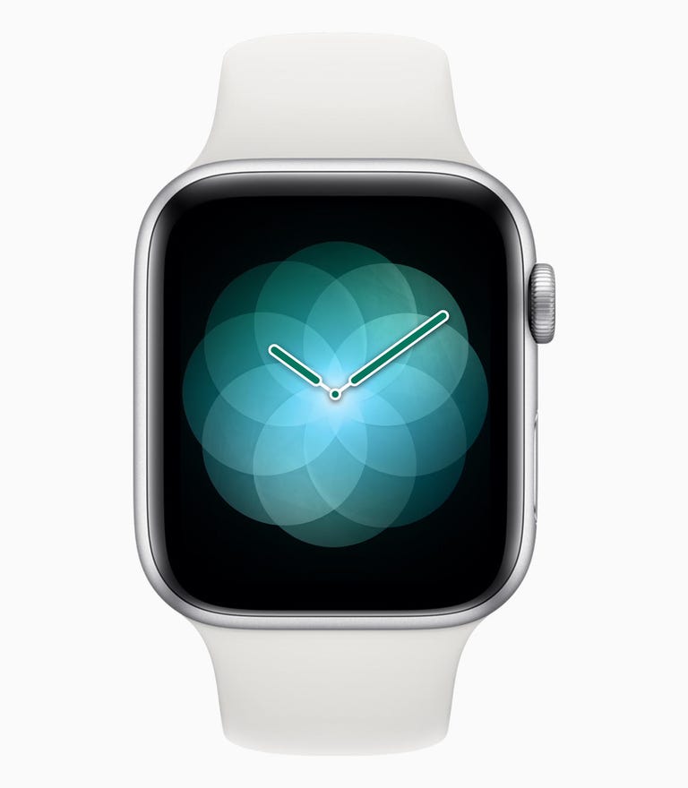 The Apple Watch's 