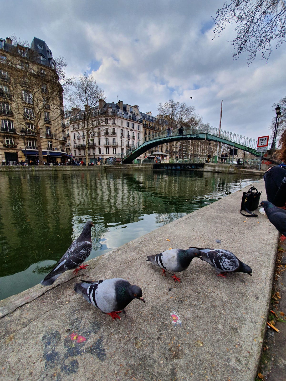 canal-pigeons-s10-plus
