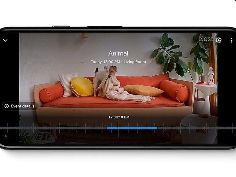 A phone shows a view from the Nest Indoor Cam with an animal on a sofa identified by AI recognition.