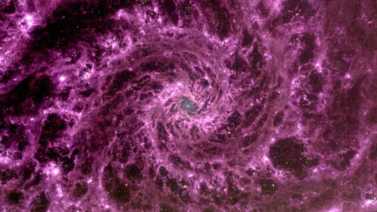 Violet shades make up the dusty, thick spiral of Messier 74.